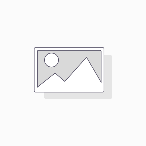 Test 1 Artikel 